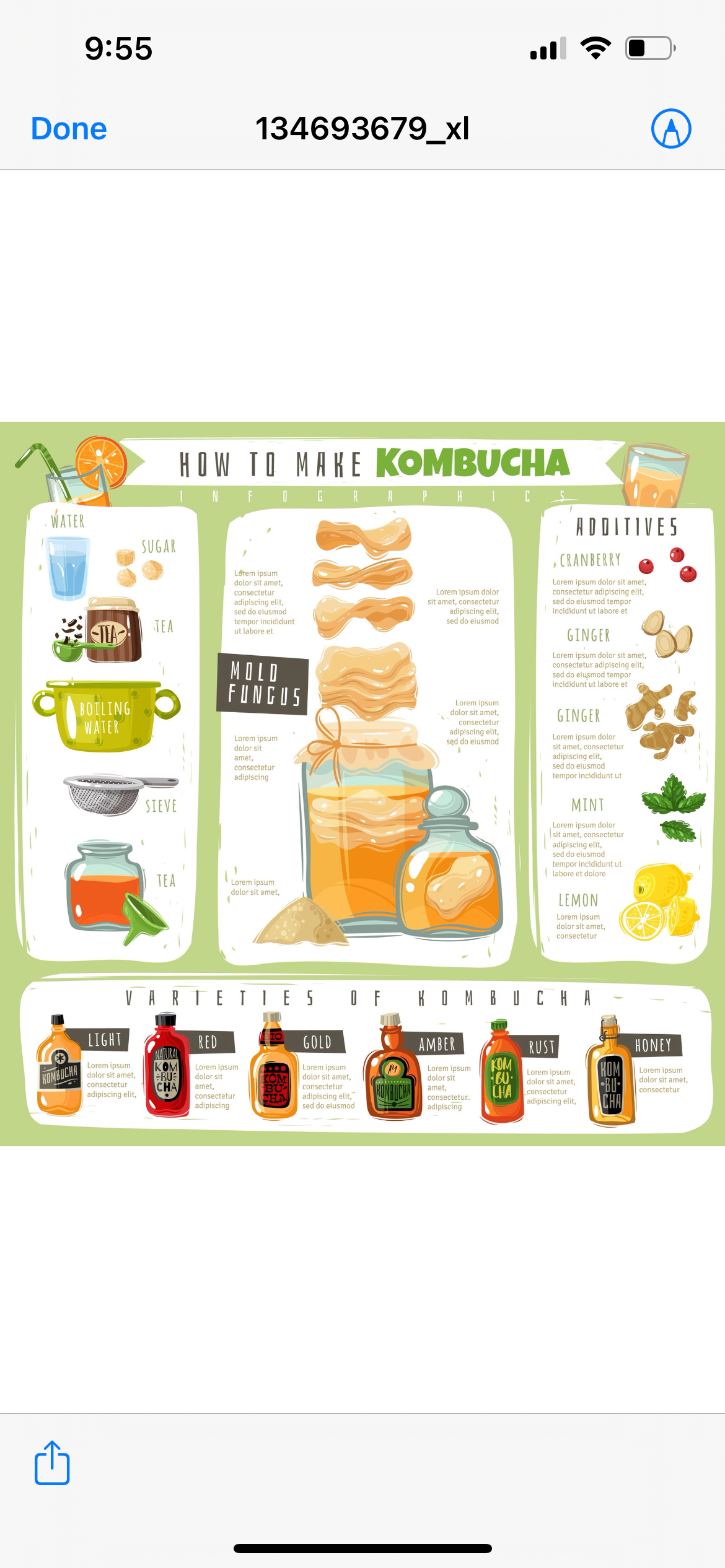 Kombucha scoby- (organic ingredient)