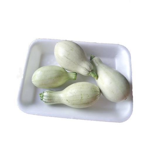 Nicaraguan pipian summer squash (white cushaw)