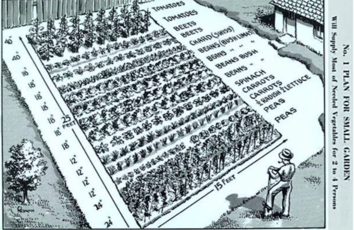 Vintage victory garden plan reprint