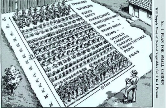Vintage victory garden plan reprint
