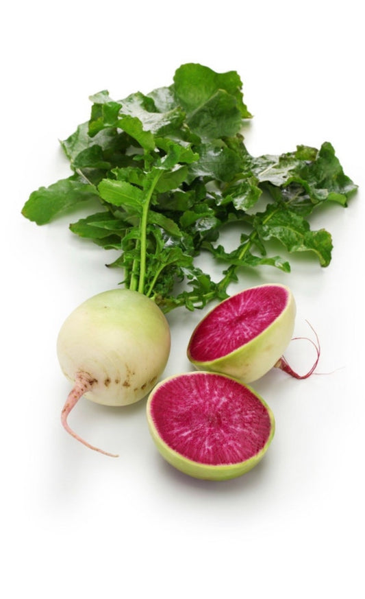 Watermelon radish (Chinese red meat radish)