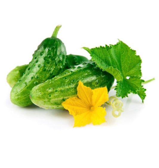 Boston pickling cucumber seeds