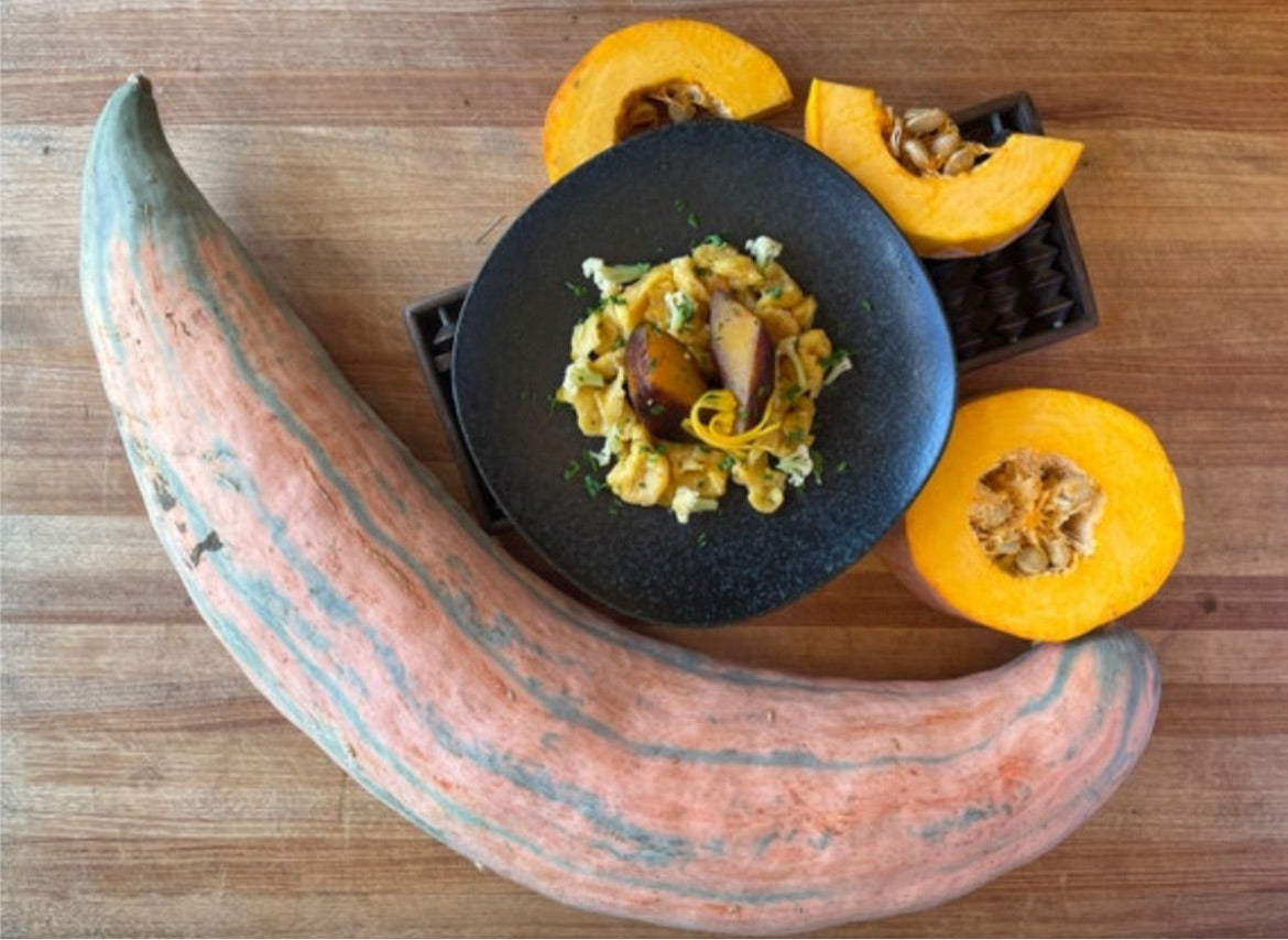 Georgia candy roaster squash