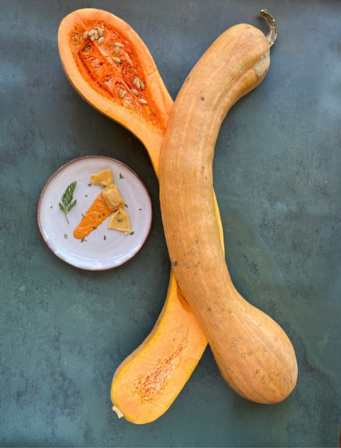 Longue de Nice French butternut squash seeds