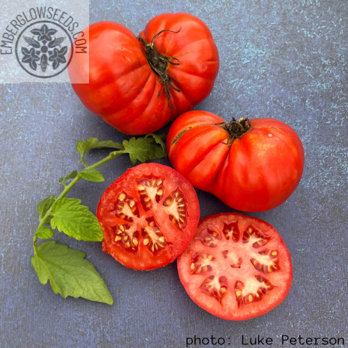 Crimson giant tomato seeds super rare