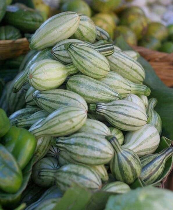 Semillas Pipian Criollo Salvadoreño- green striped cushaw