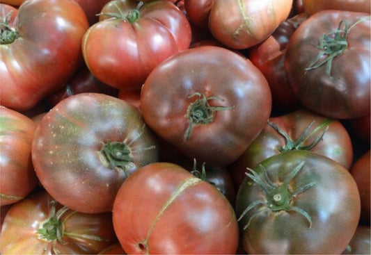 Cherokee purple heirloom tomato seeds