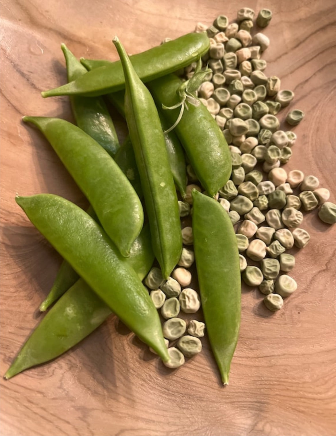 Sugar-snap pea seeds