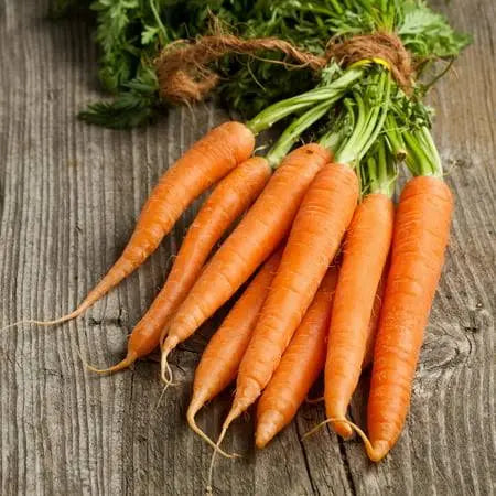 Kuroda long carrot seeds